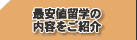 �����T�[�r�X�̓��e���m�肽���B