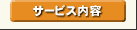 �T�[�r�X���e >>