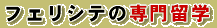 �t�F���V�e�̐�嗯�w